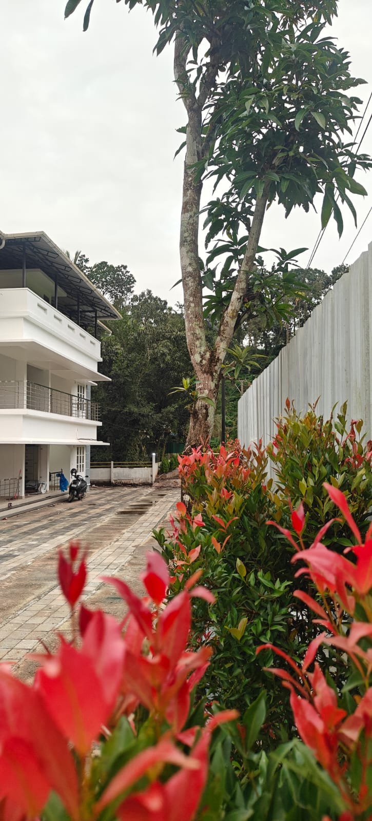 COSVALIA Balcony view and architecture